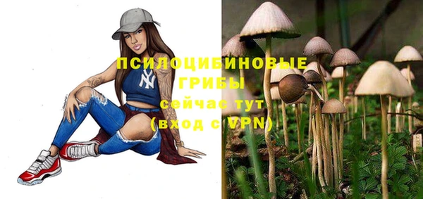 экстази Абаза