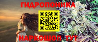 скорость Краснознаменск