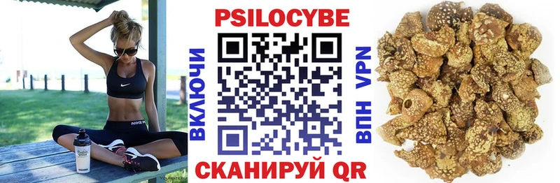 Галлюциногенные грибы прущие грибы  Гагарин 